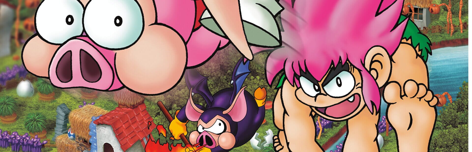 Tomba! Special Edition artwork 6
