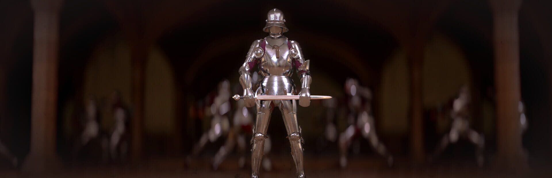 Half Sword artwork 17