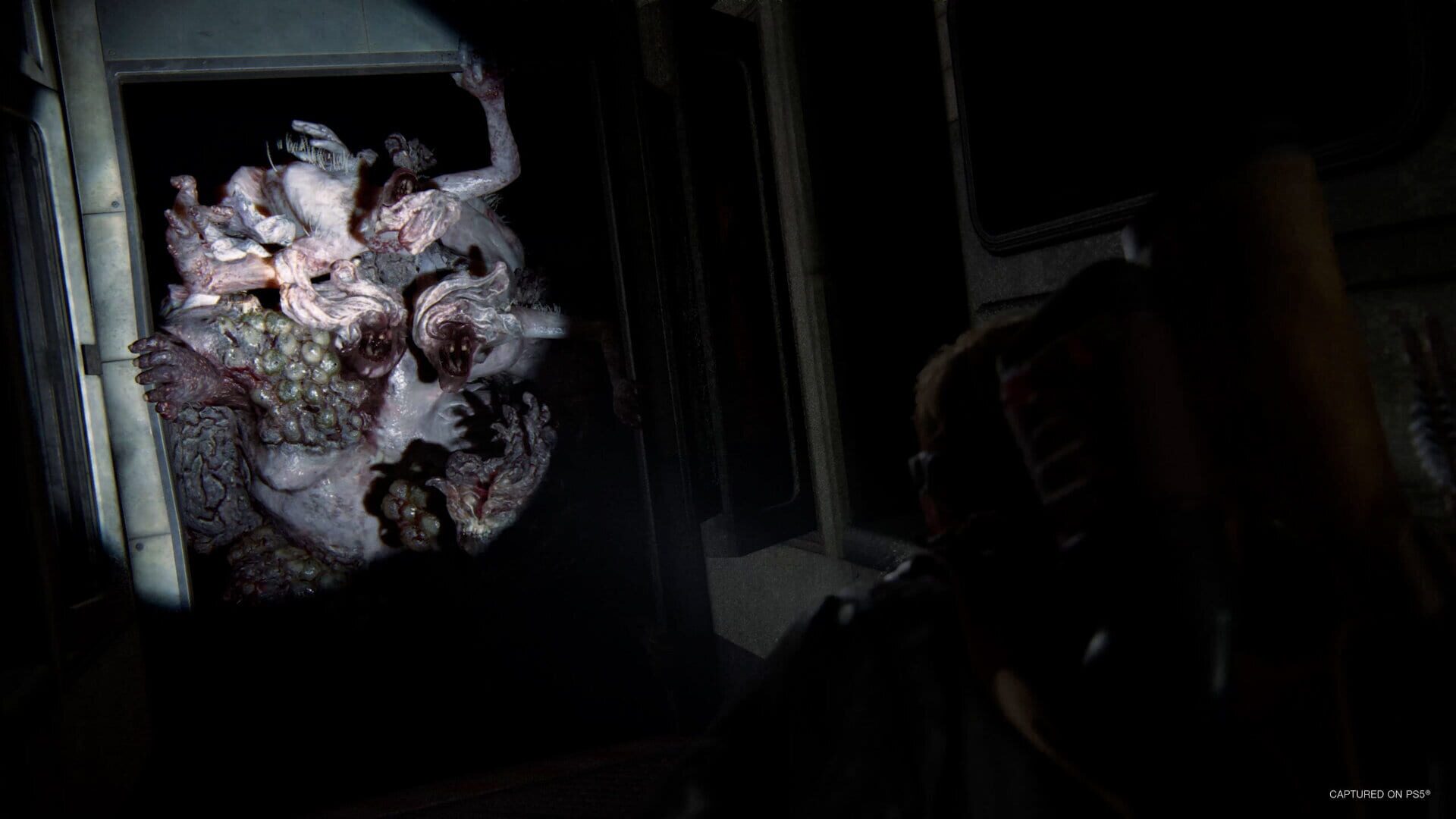 The Last of Us Part II Remastered screenshot 9