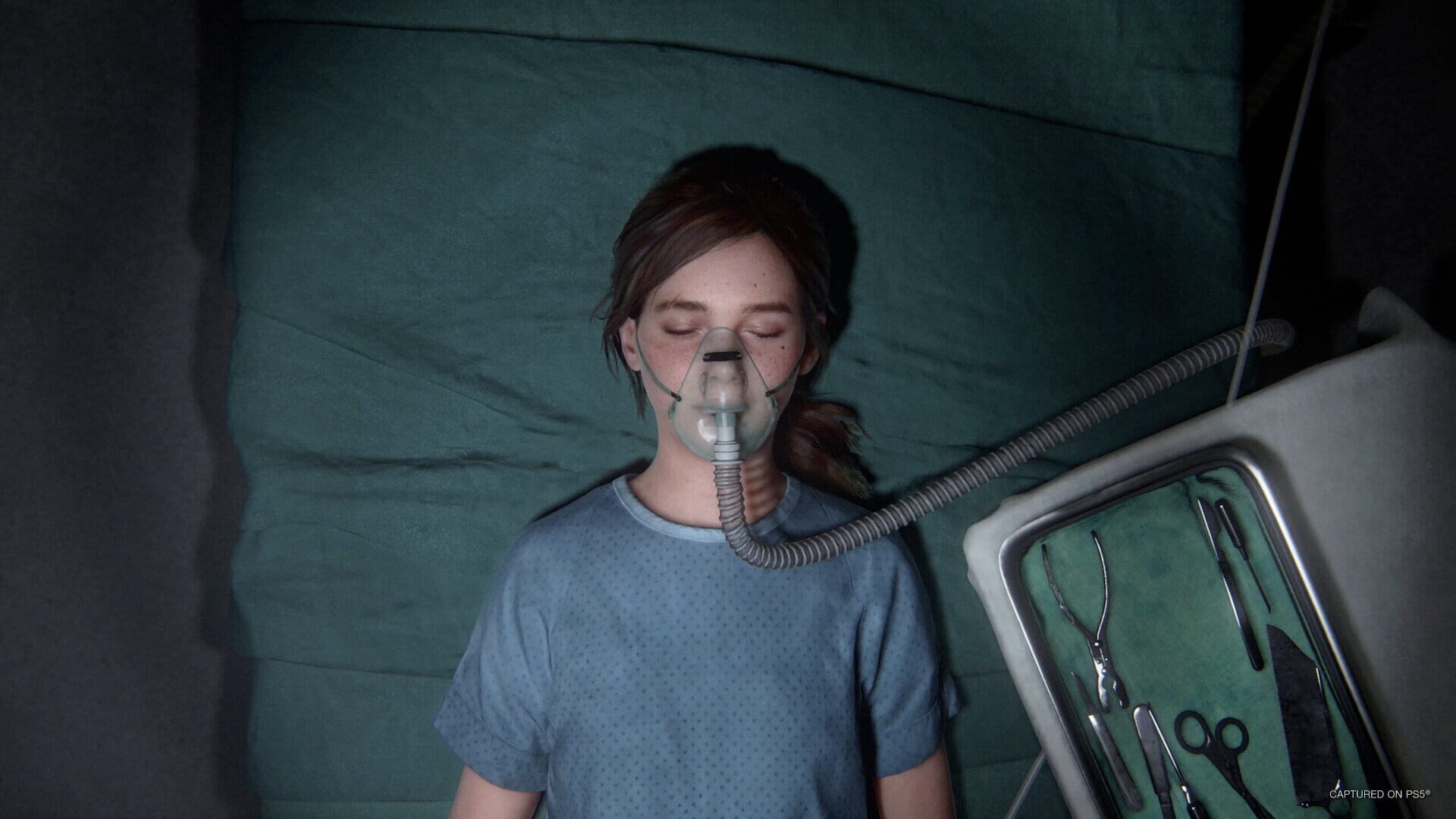 The Last of Us Part II Remastered screenshot 17