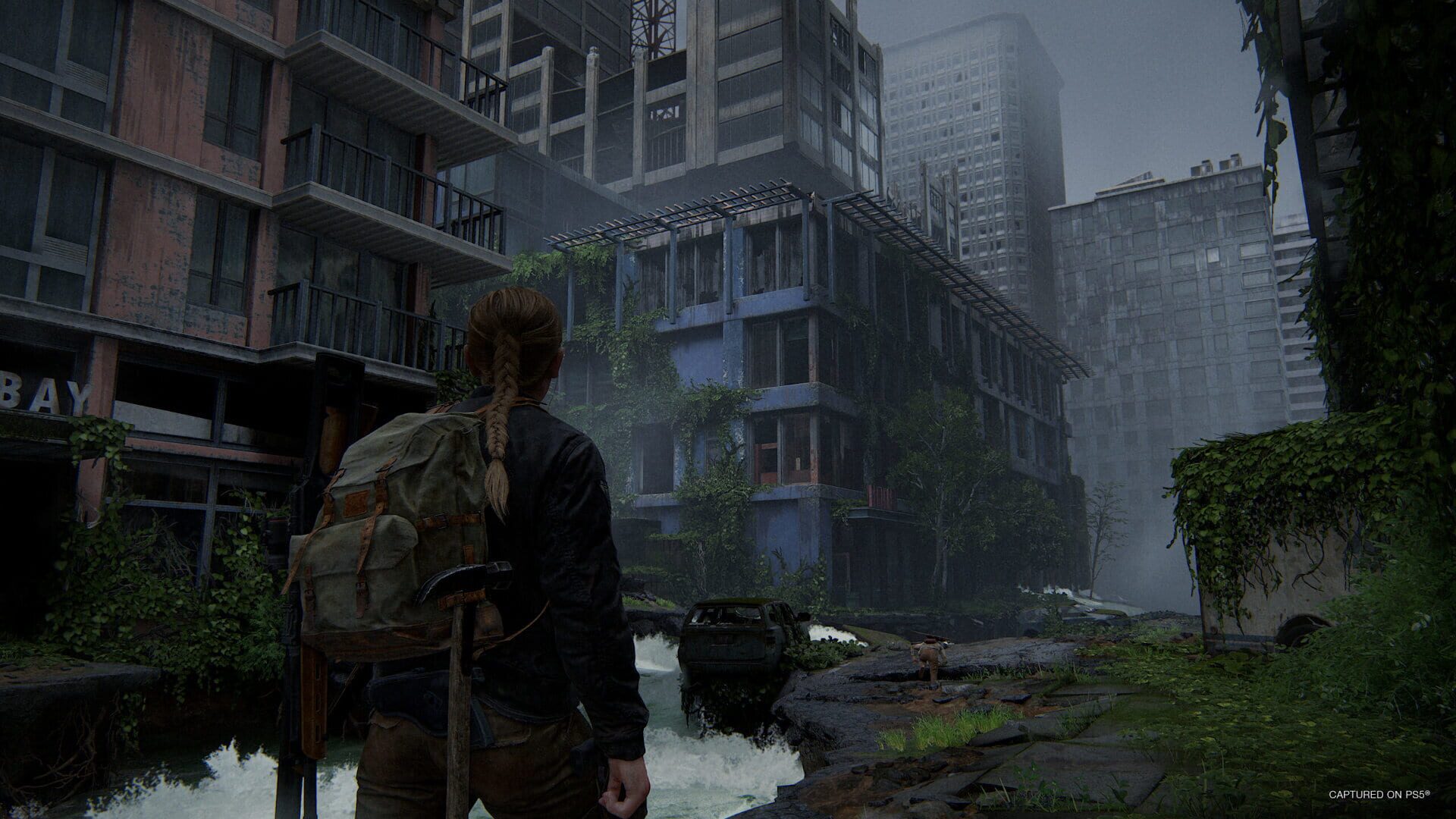 The Last of Us Part II Remastered screenshot 13