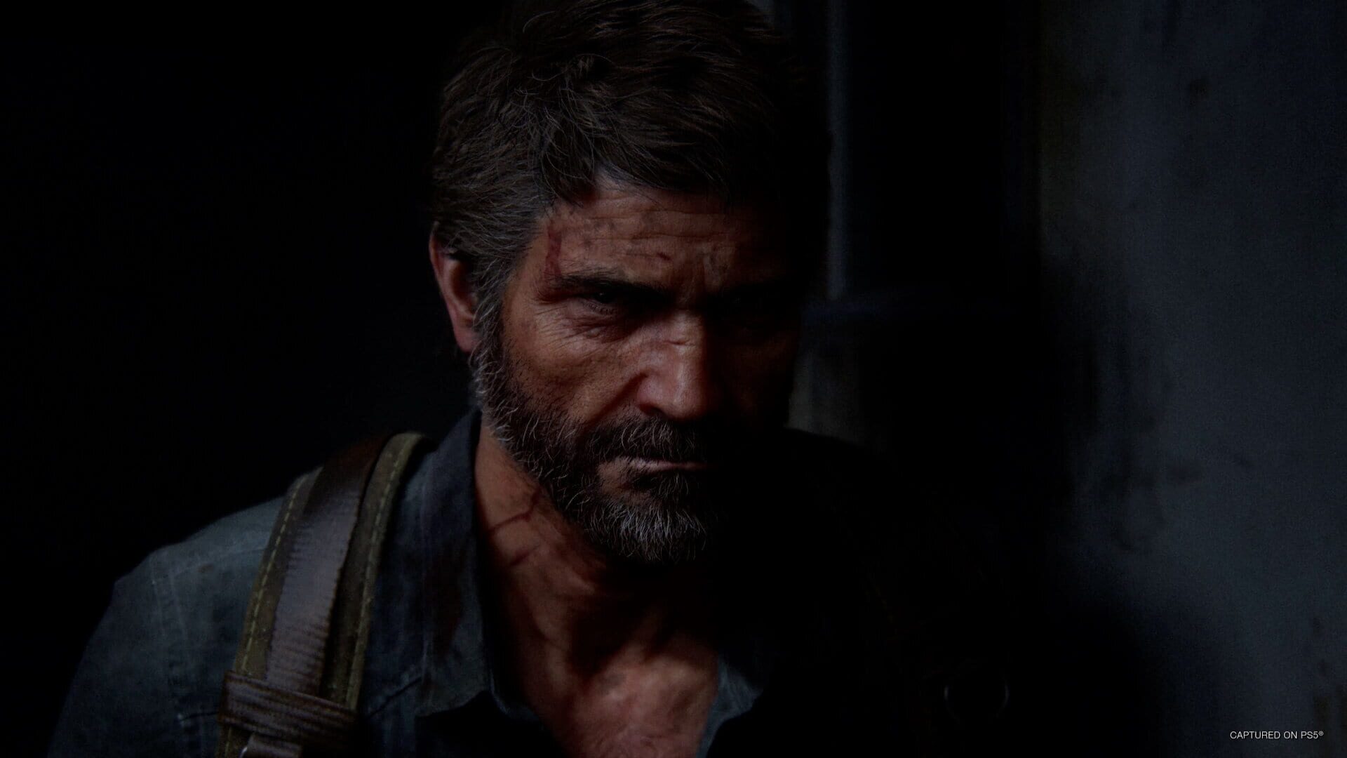 The Last of Us Part II Remastered screenshot 15