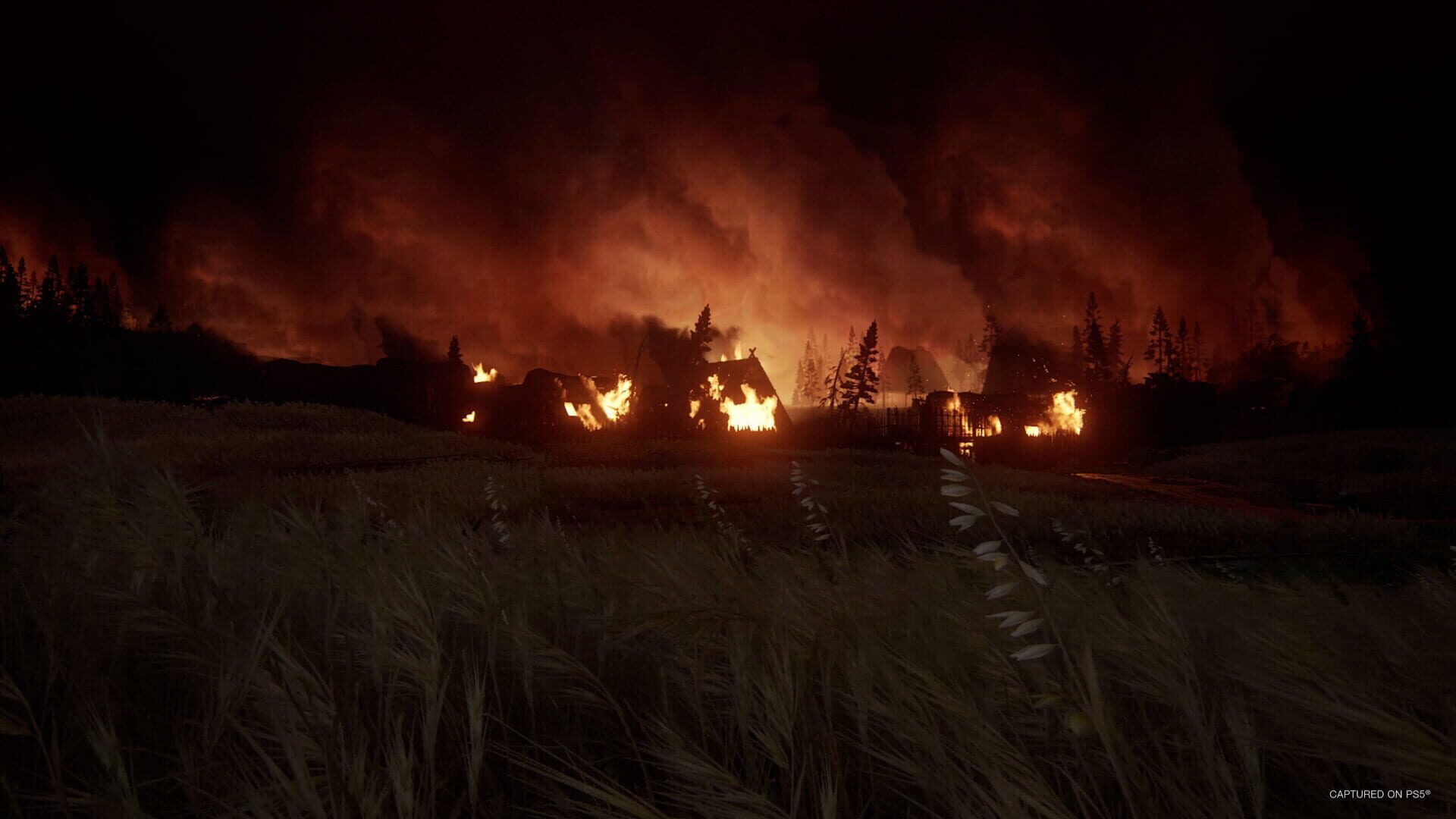 The Last of Us Part II Remastered screenshot 7
