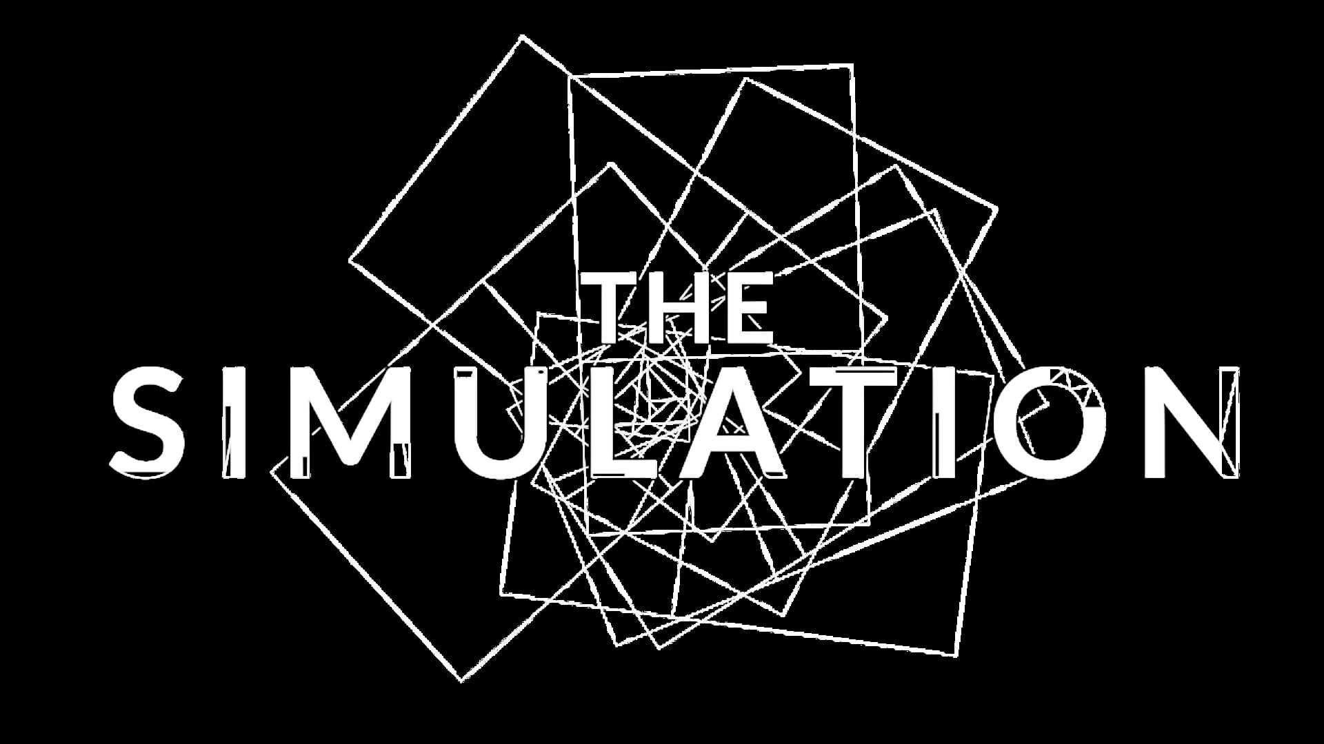 The Simulation artwork 5