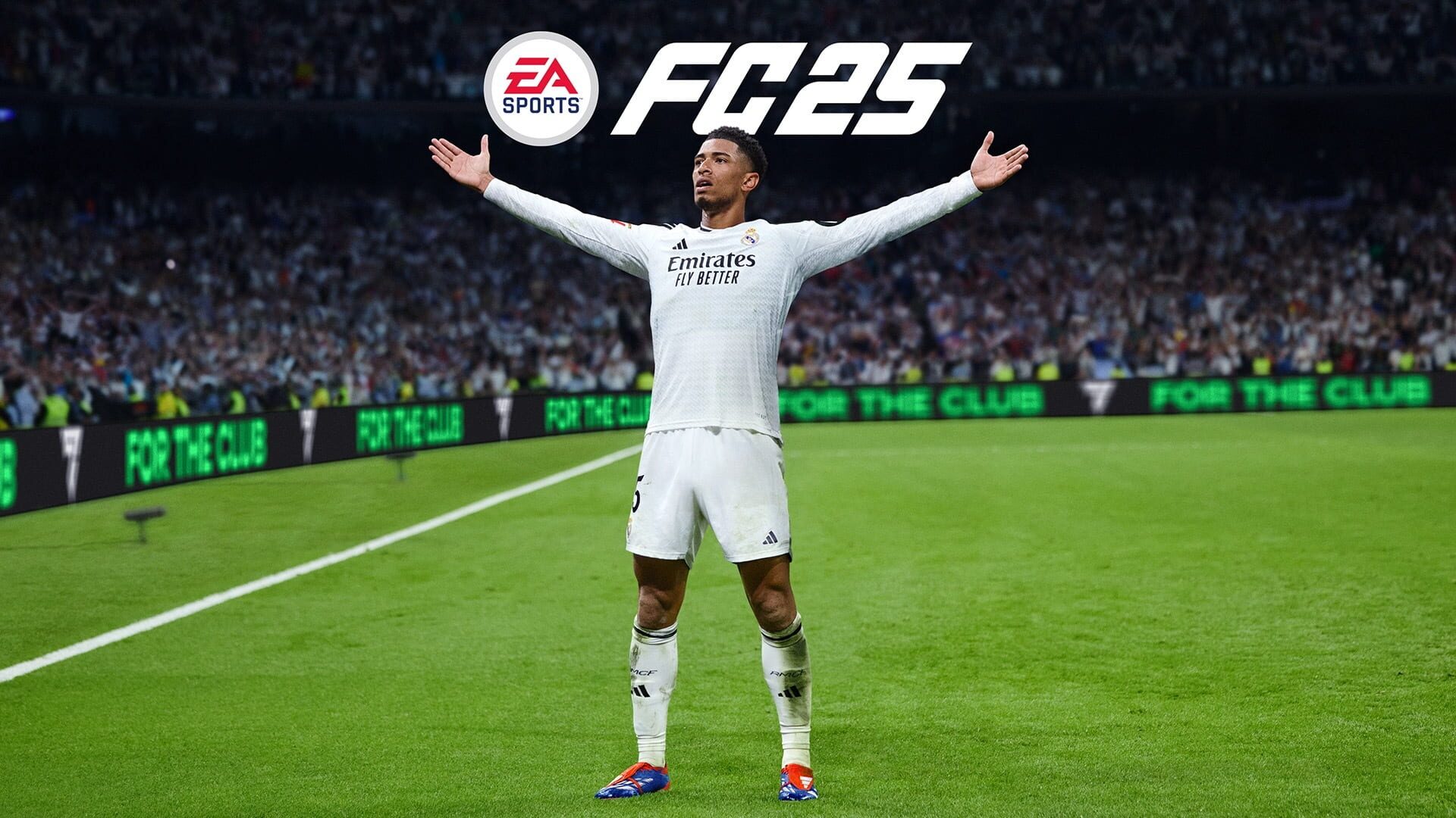 EA Sports FC 25 artwork 10