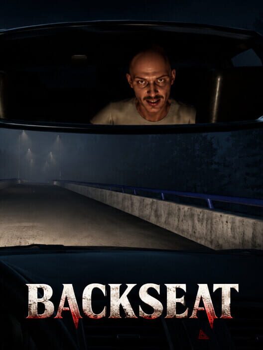 Backseat cover