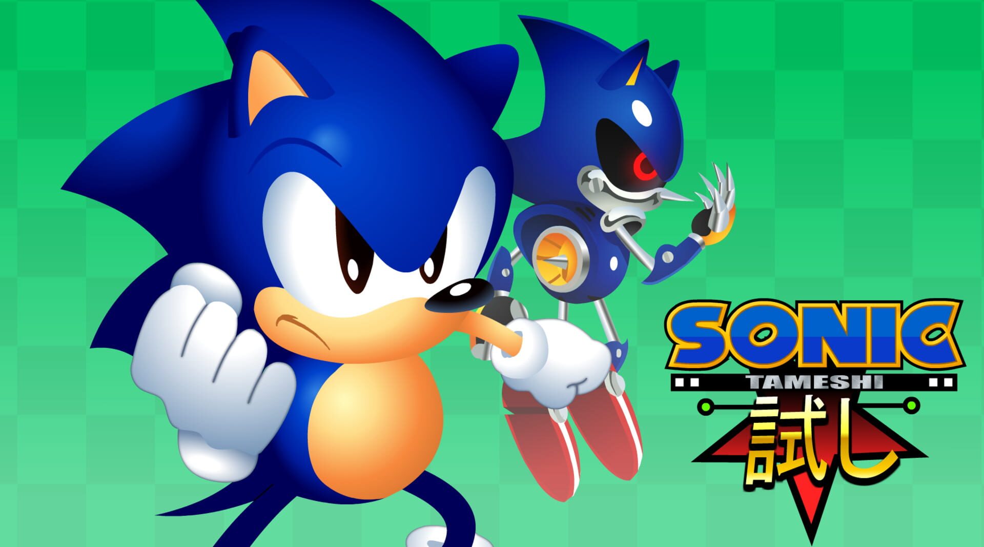 Sonic Tameshi artwork 4