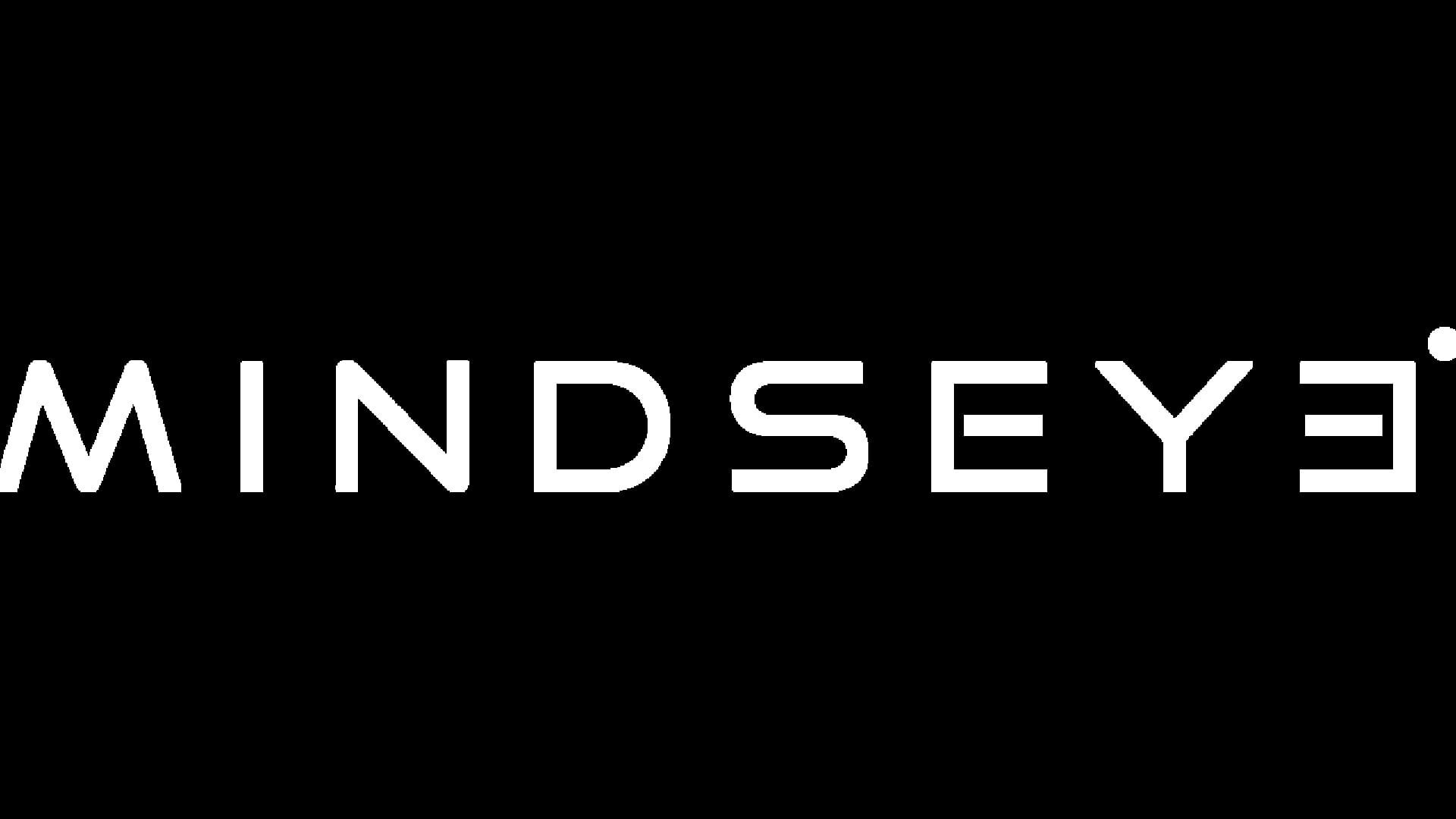 MindsEye artwork 17