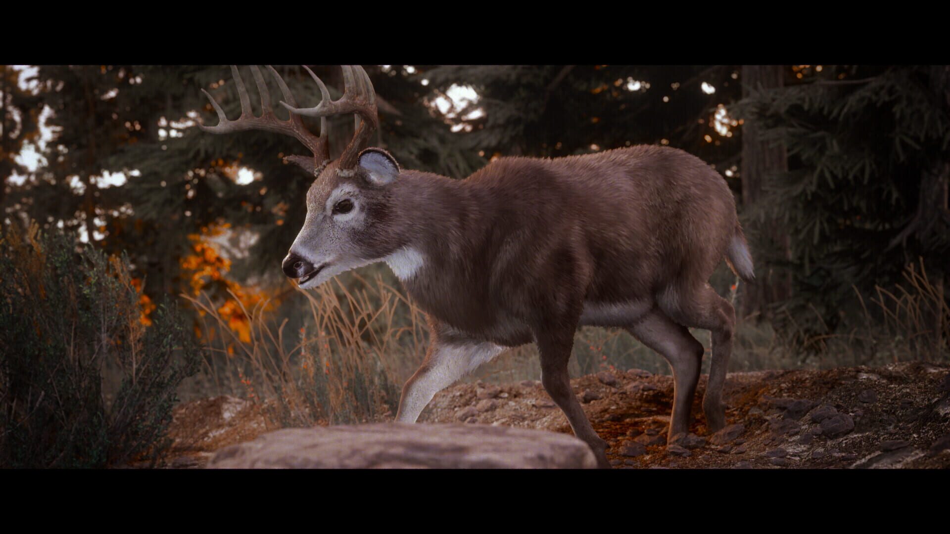 Hunting Simulator 3 screenshot 4