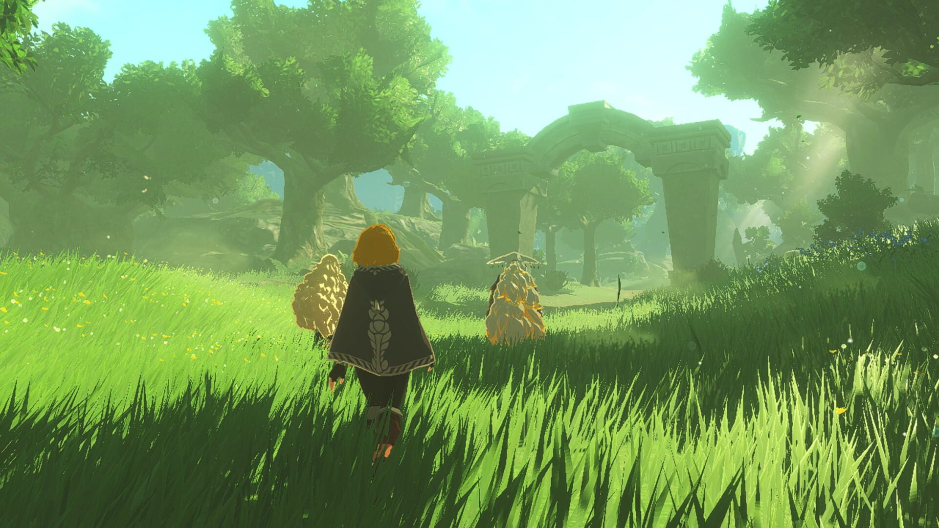 Hyrule Warriors: Age of Imprisonment screenshot 1
