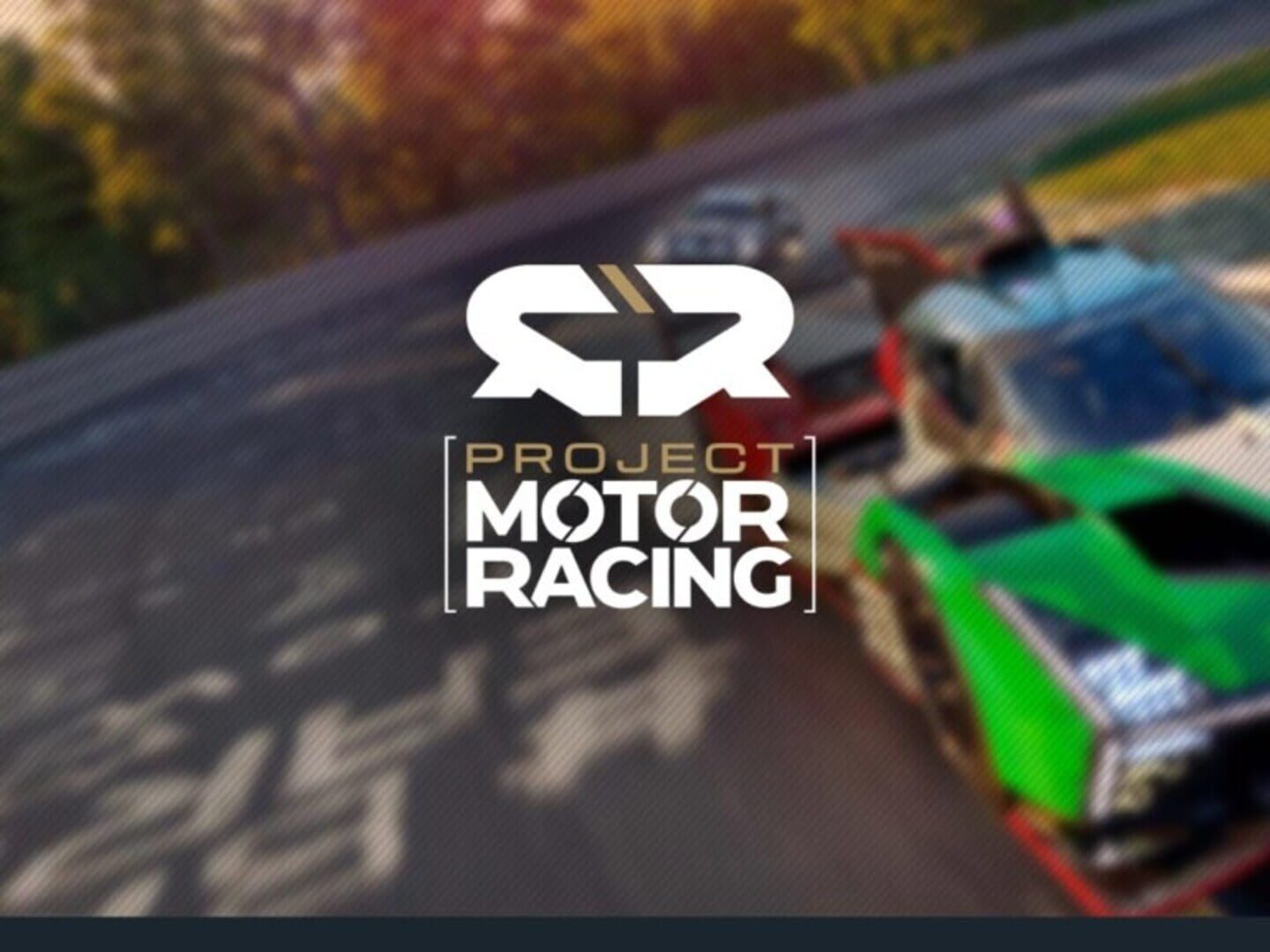 Project Motor Racing artwork 10