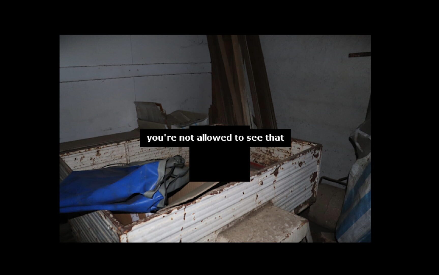 Roam0120 screenshot 2