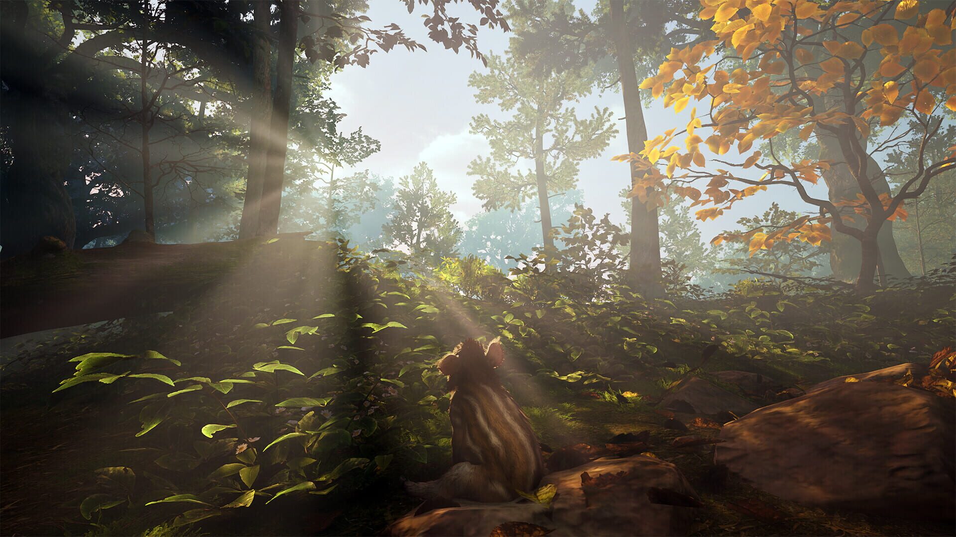 Adorable Adventures screenshot 3