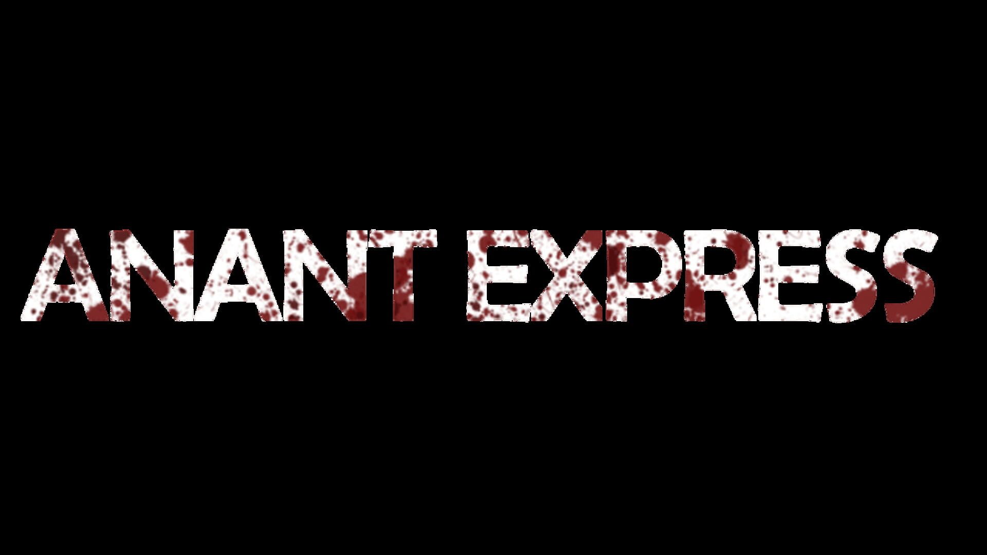 Anant Express artwork 10