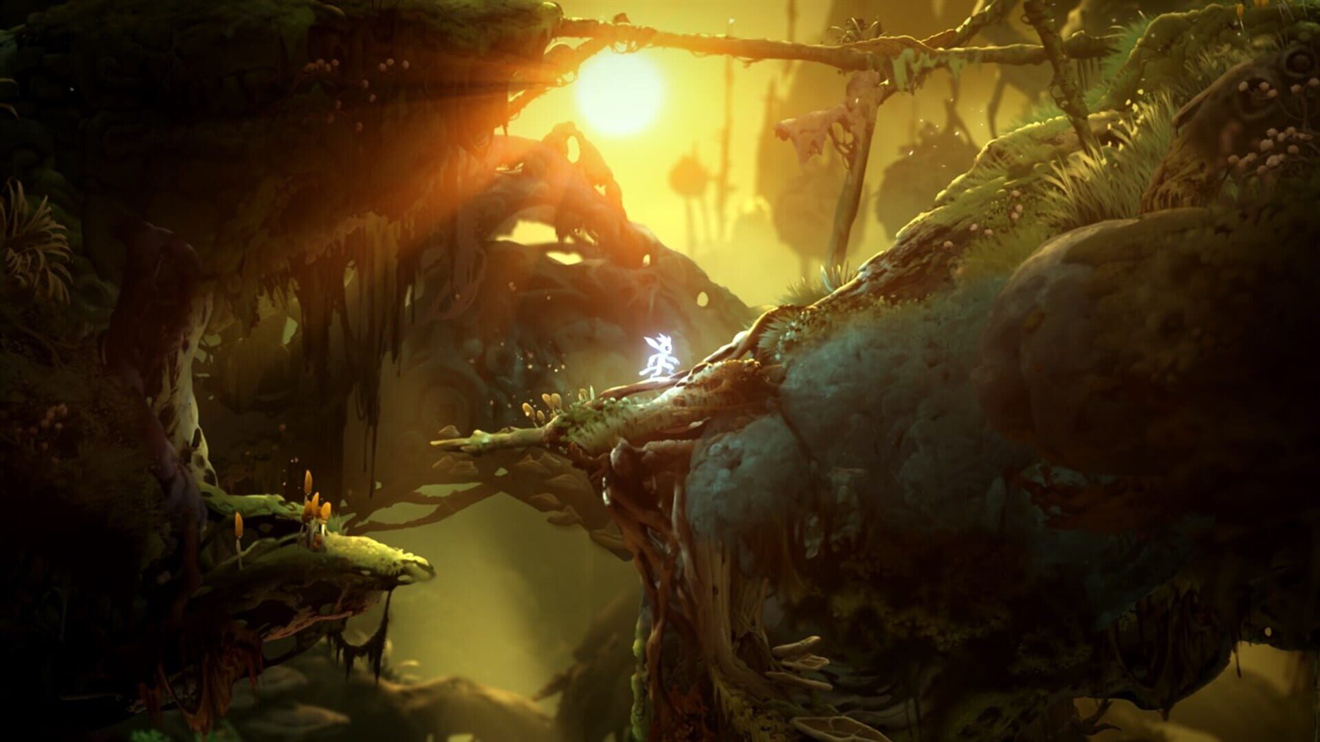 Ori and the Will of the Wisps screenshot 12