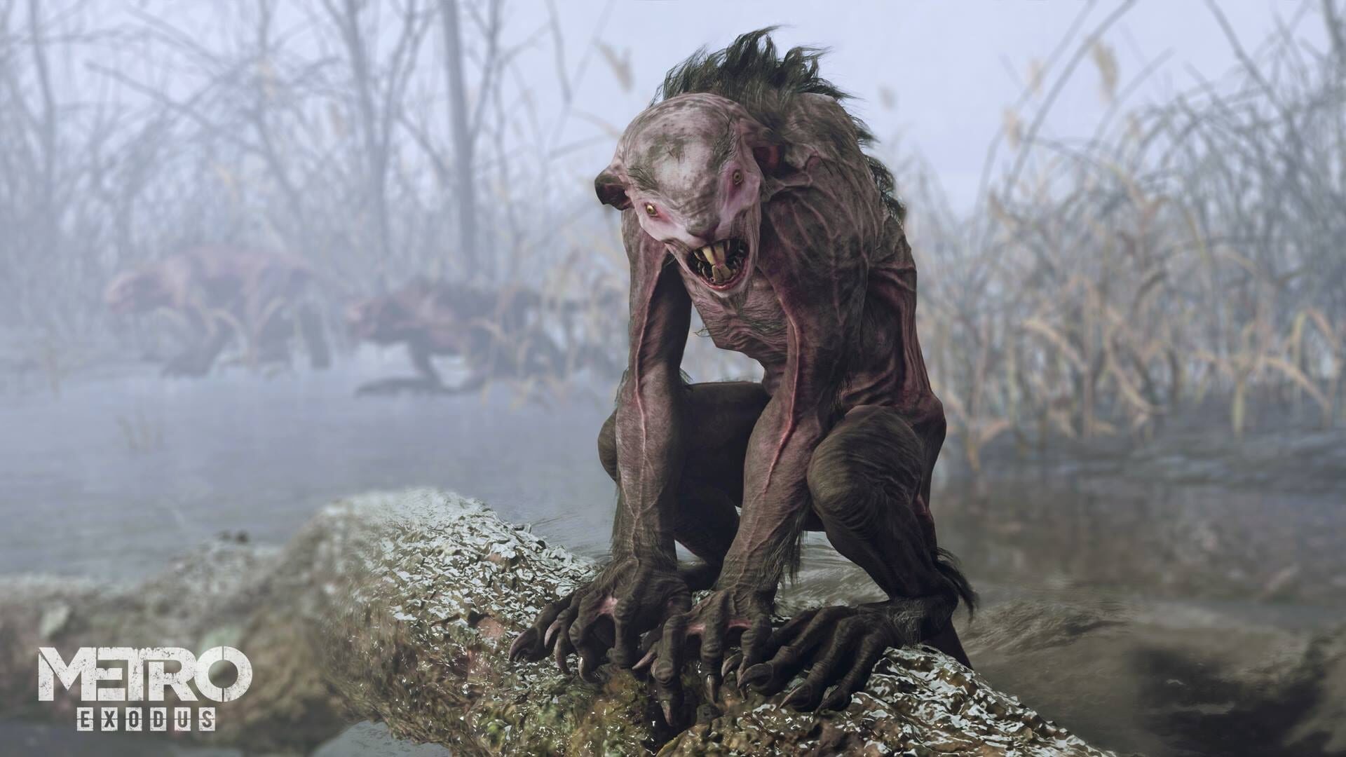 Metro Exodus artwork 17