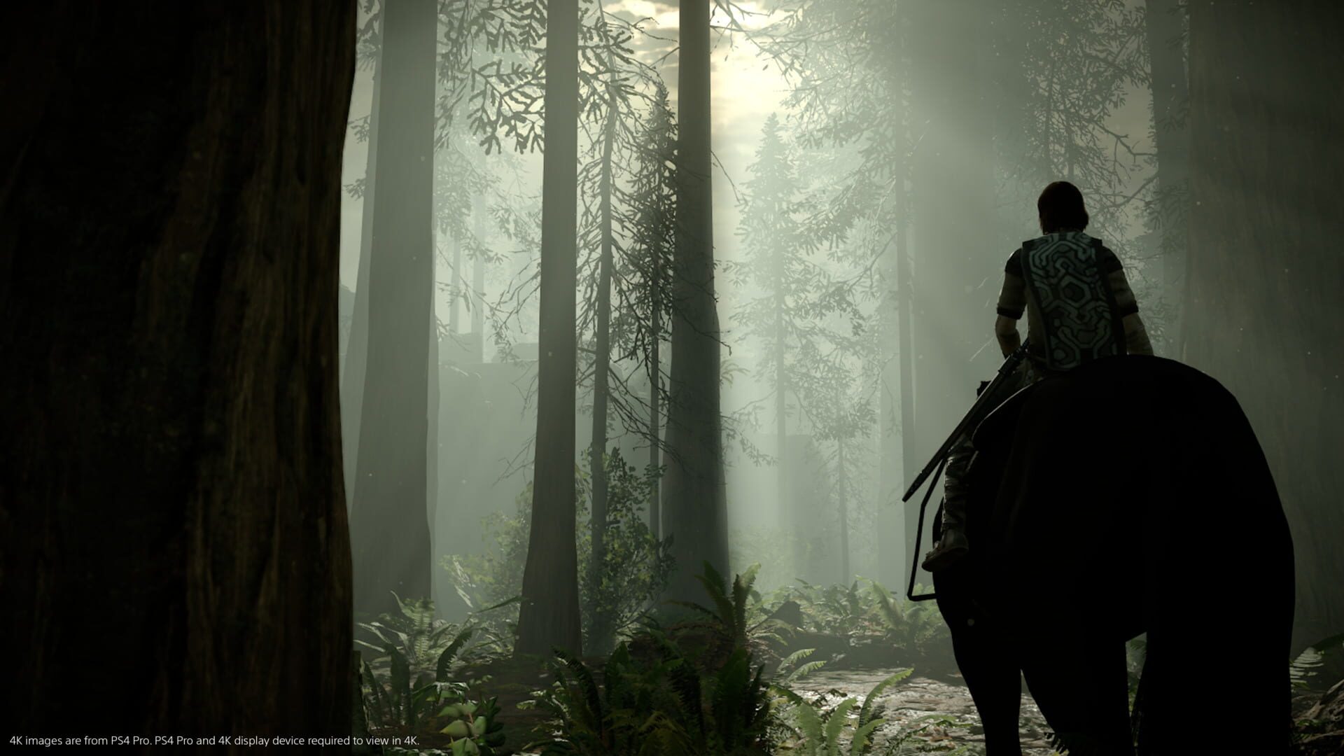 Shadow of the Colossus screenshot 9