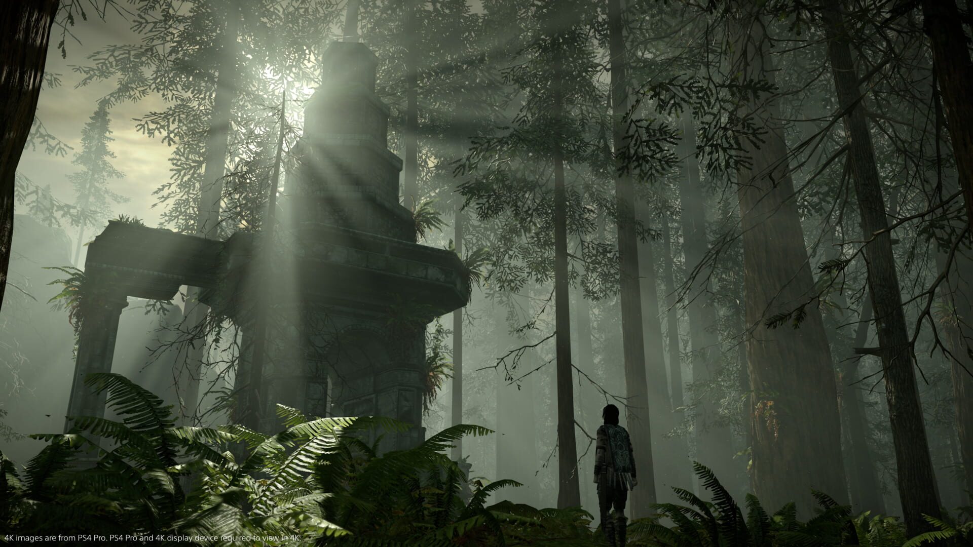 Shadow of the Colossus screenshot 12