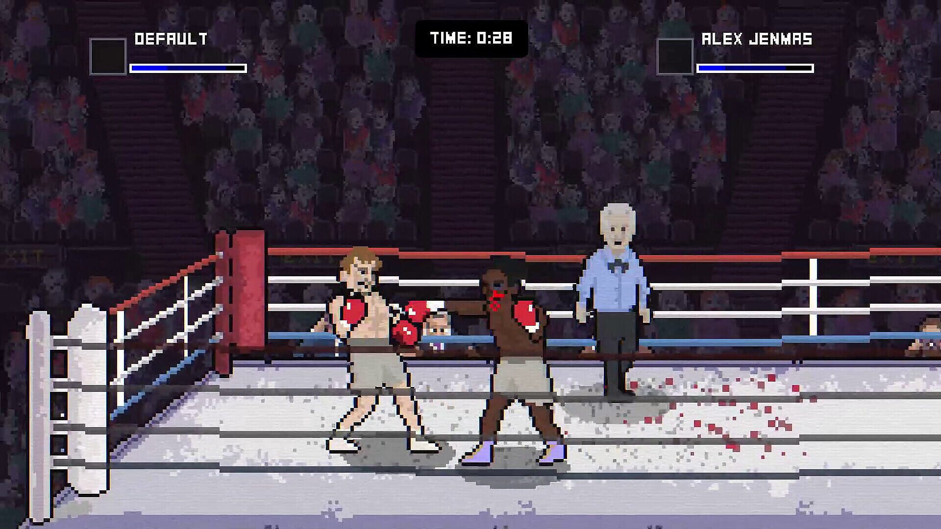 Bruisers 2D Boxing screenshot 1