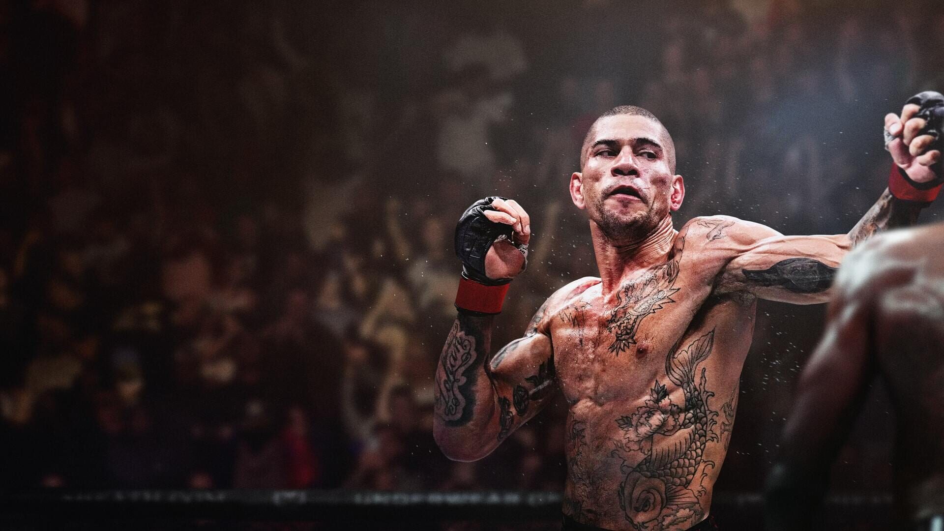 EA Sports UFC 6 artwork 6