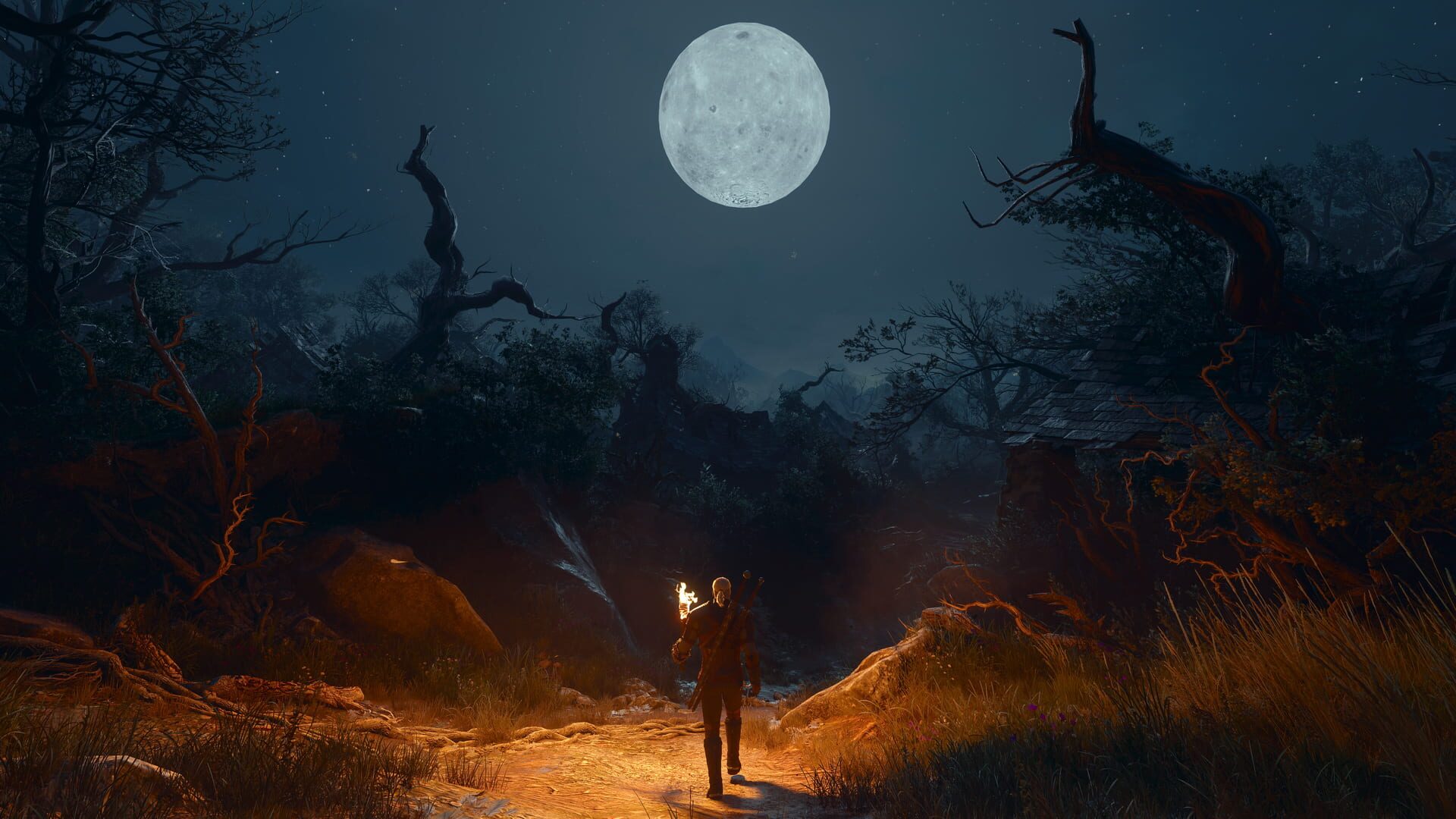 The Witcher 3: Wild Hunt - Songs of the Past screenshot 4