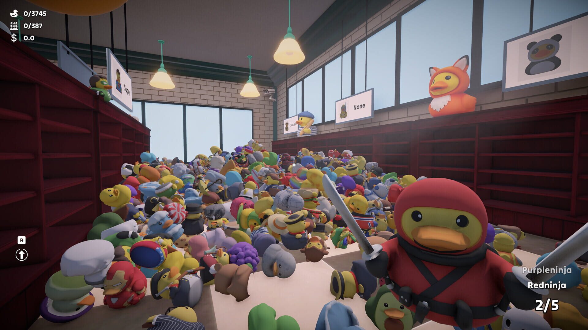 Sort Them Ducks screenshot 1