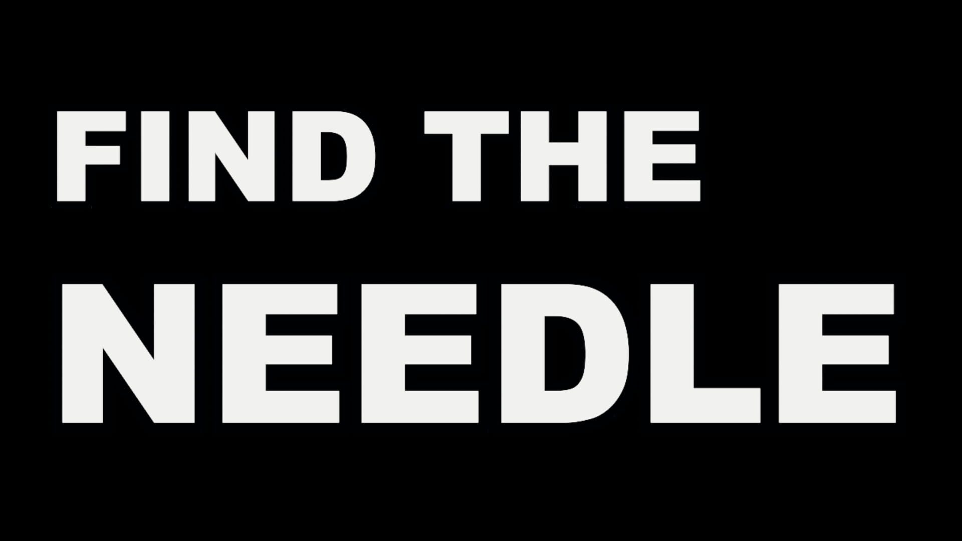 Find The Needle artwork 7