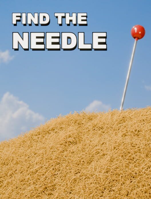 Find The Needle cover