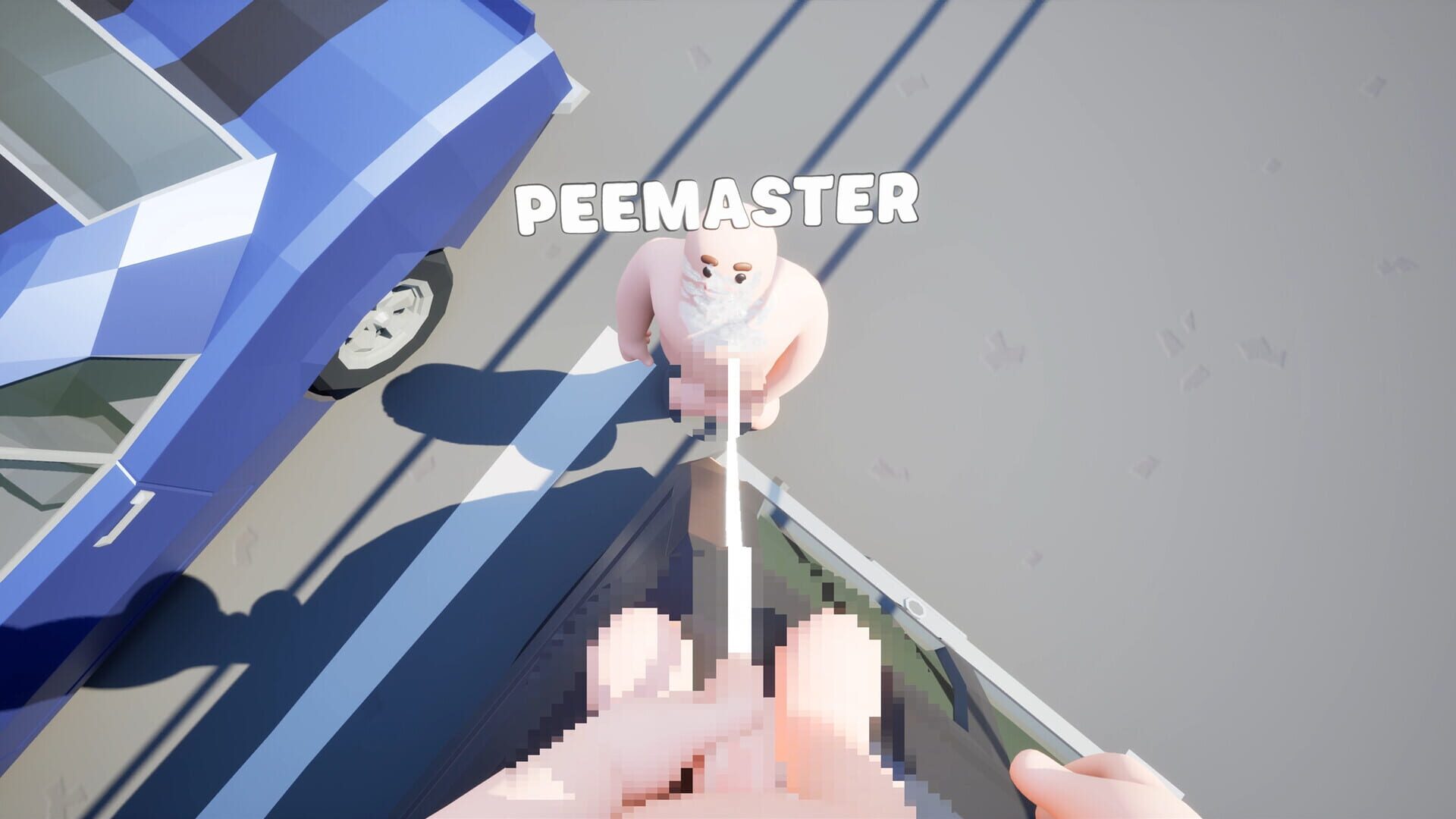 PeeVPee screenshot 4