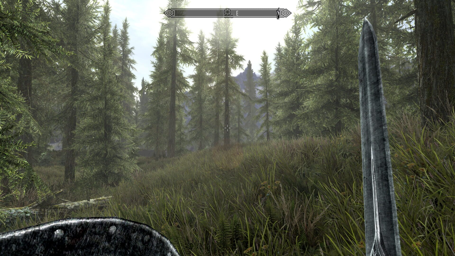 The Elder Scrolls V: Skyrim screenshot 1