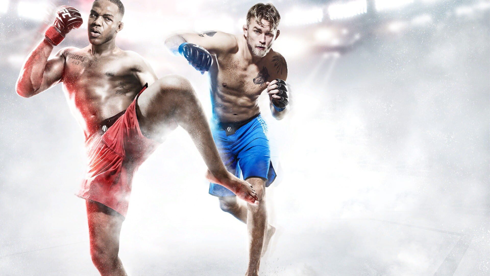 EA Sports UFC artwork 6