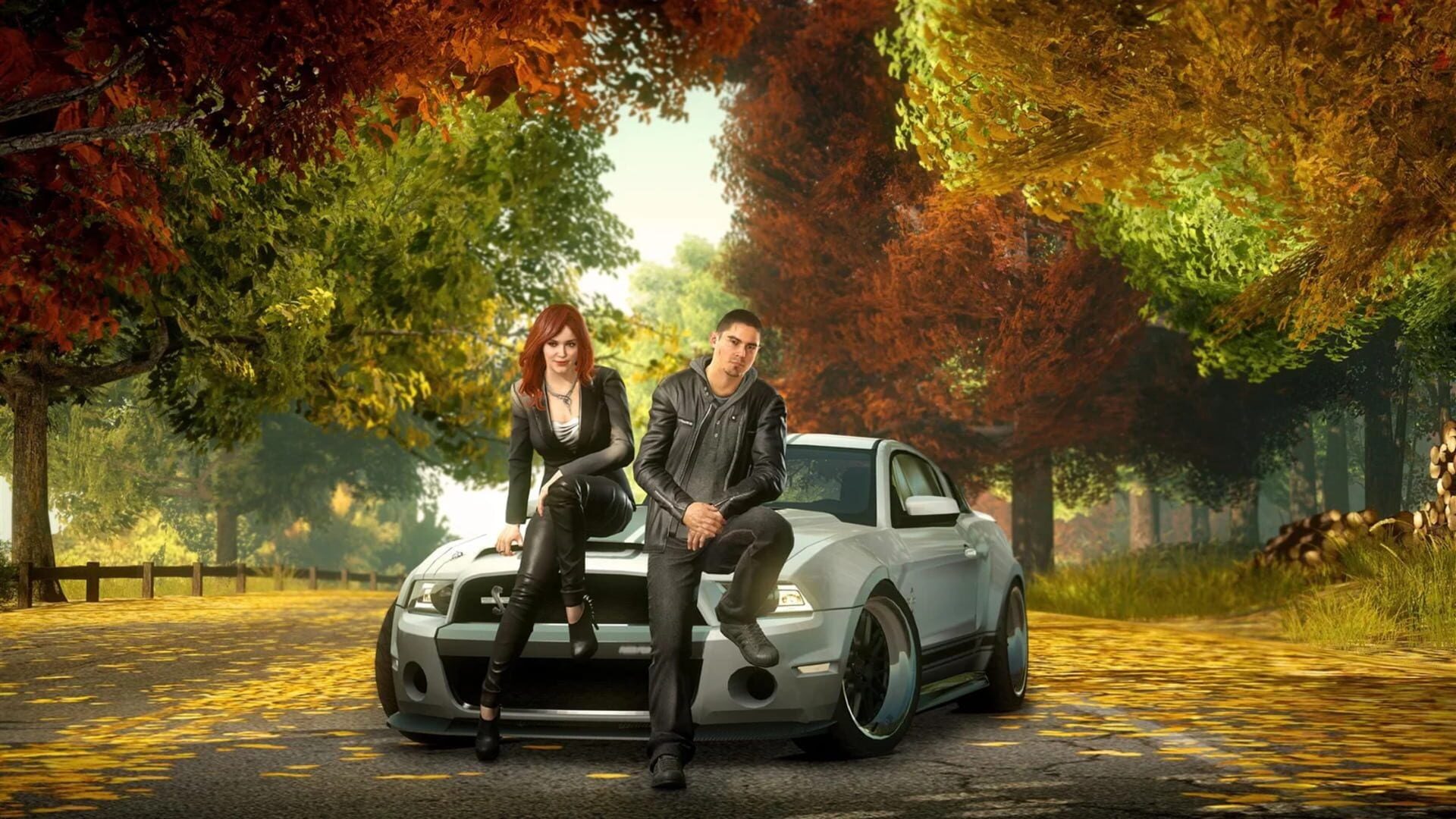 Need for Speed: The Run artwork 6