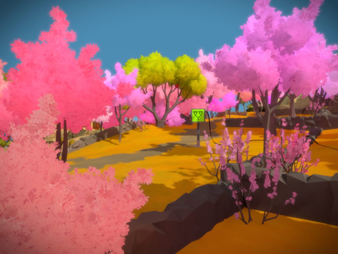 The Witness screenshot 3