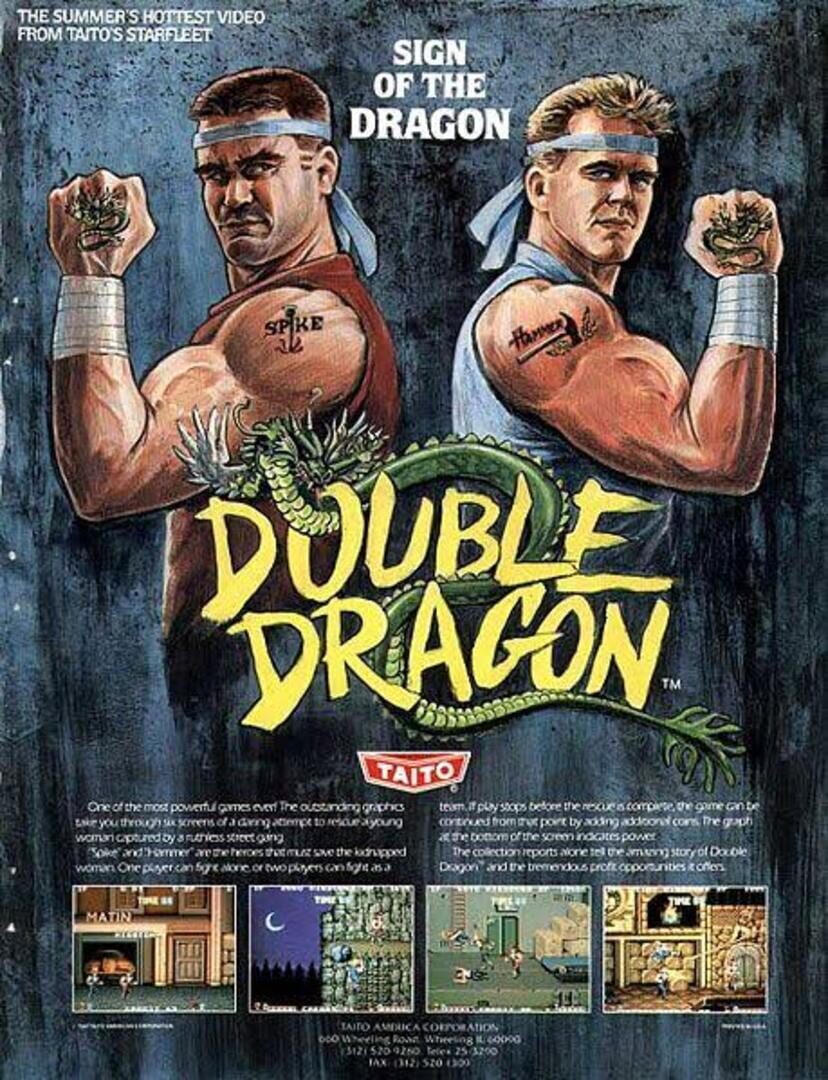 Double Dragon artwork 4