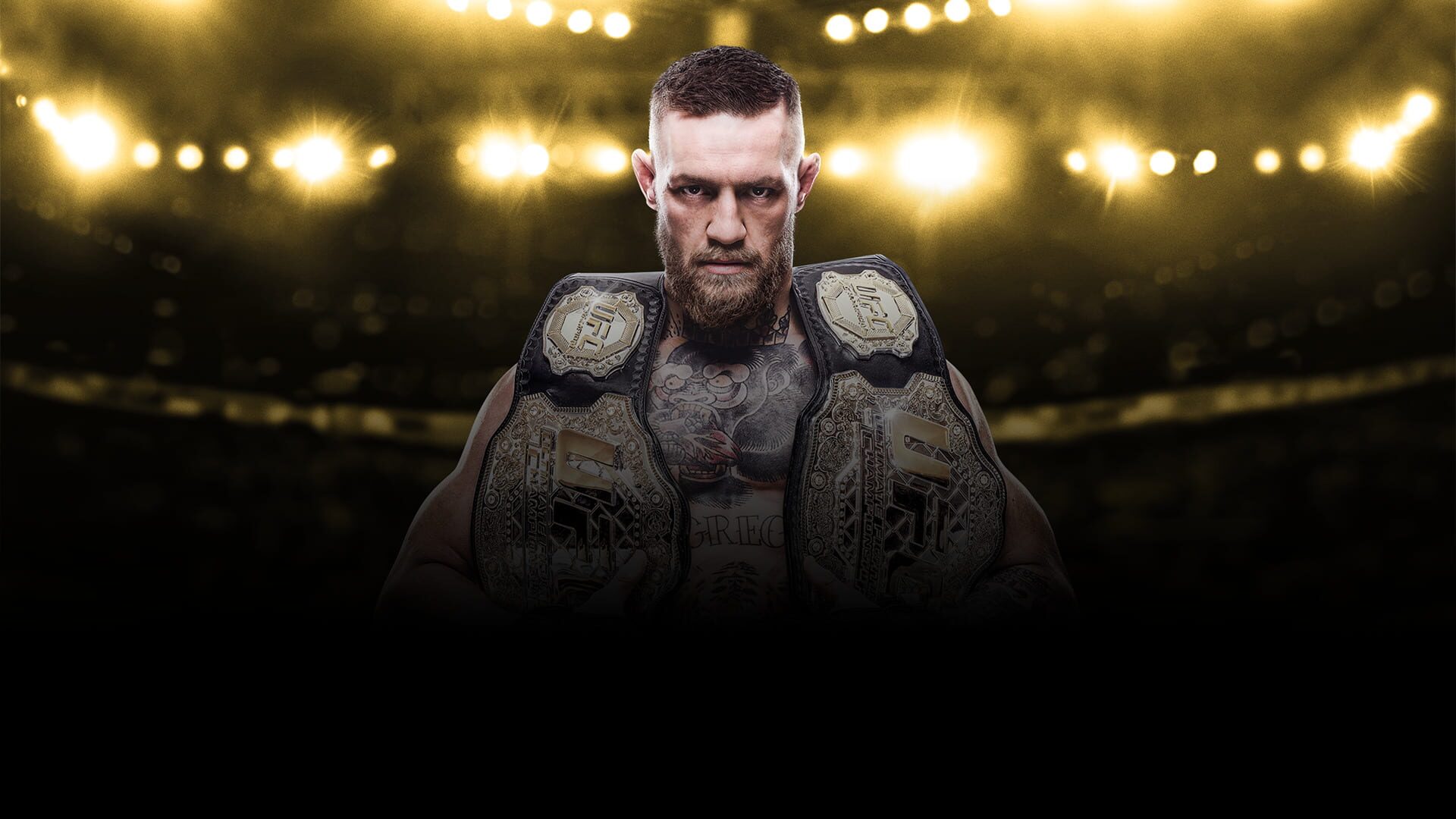 EA Sports UFC 3 artwork 7