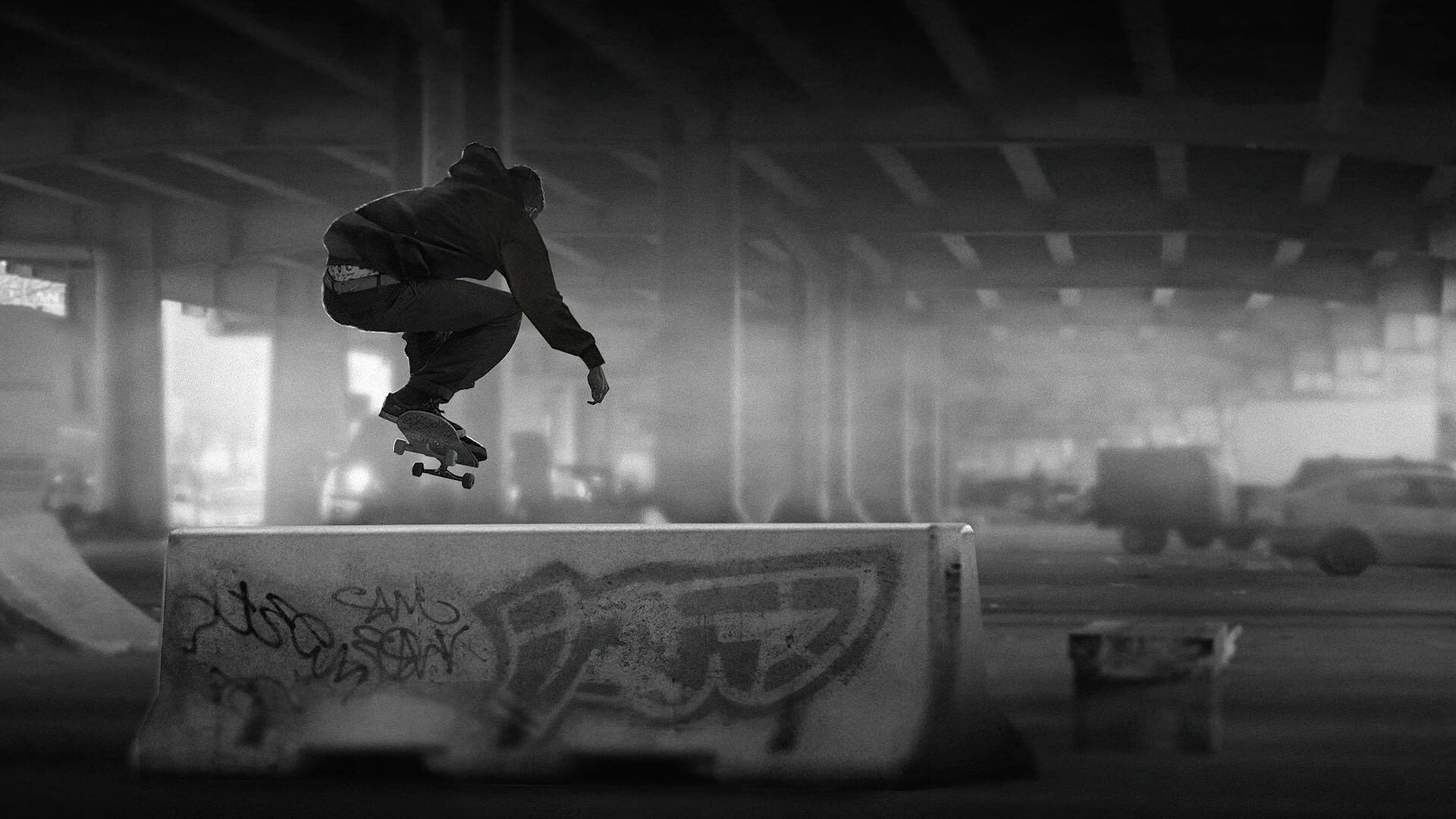 Session: Skate Sim artwork 10