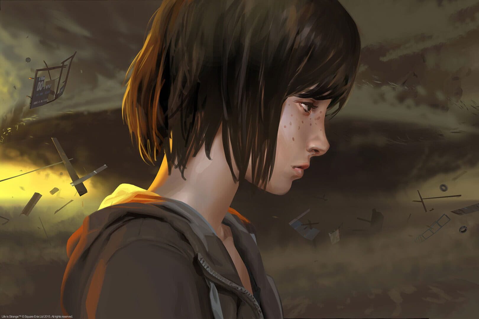 Life Is Strange artwork 18