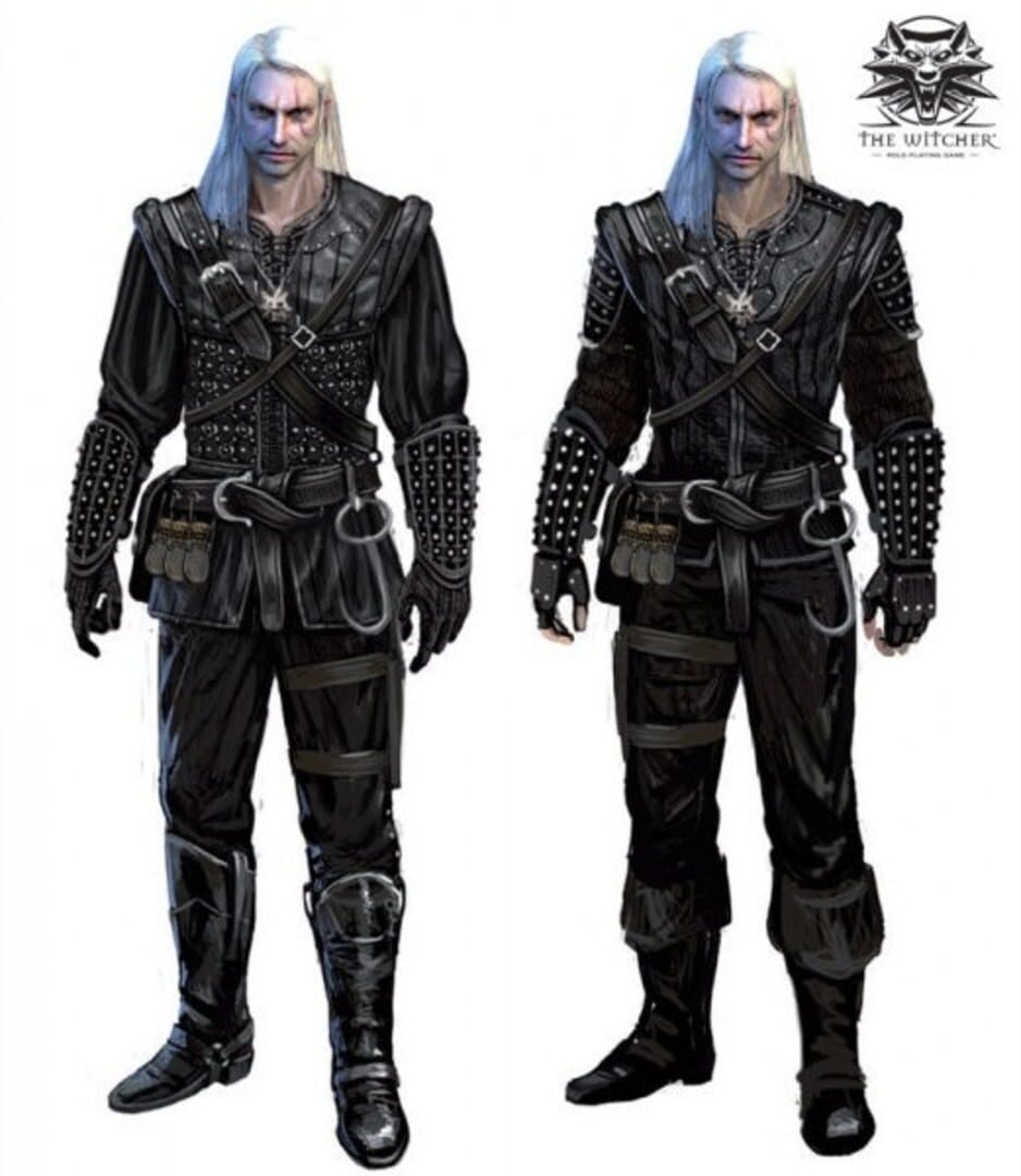 The Witcher artwork 11