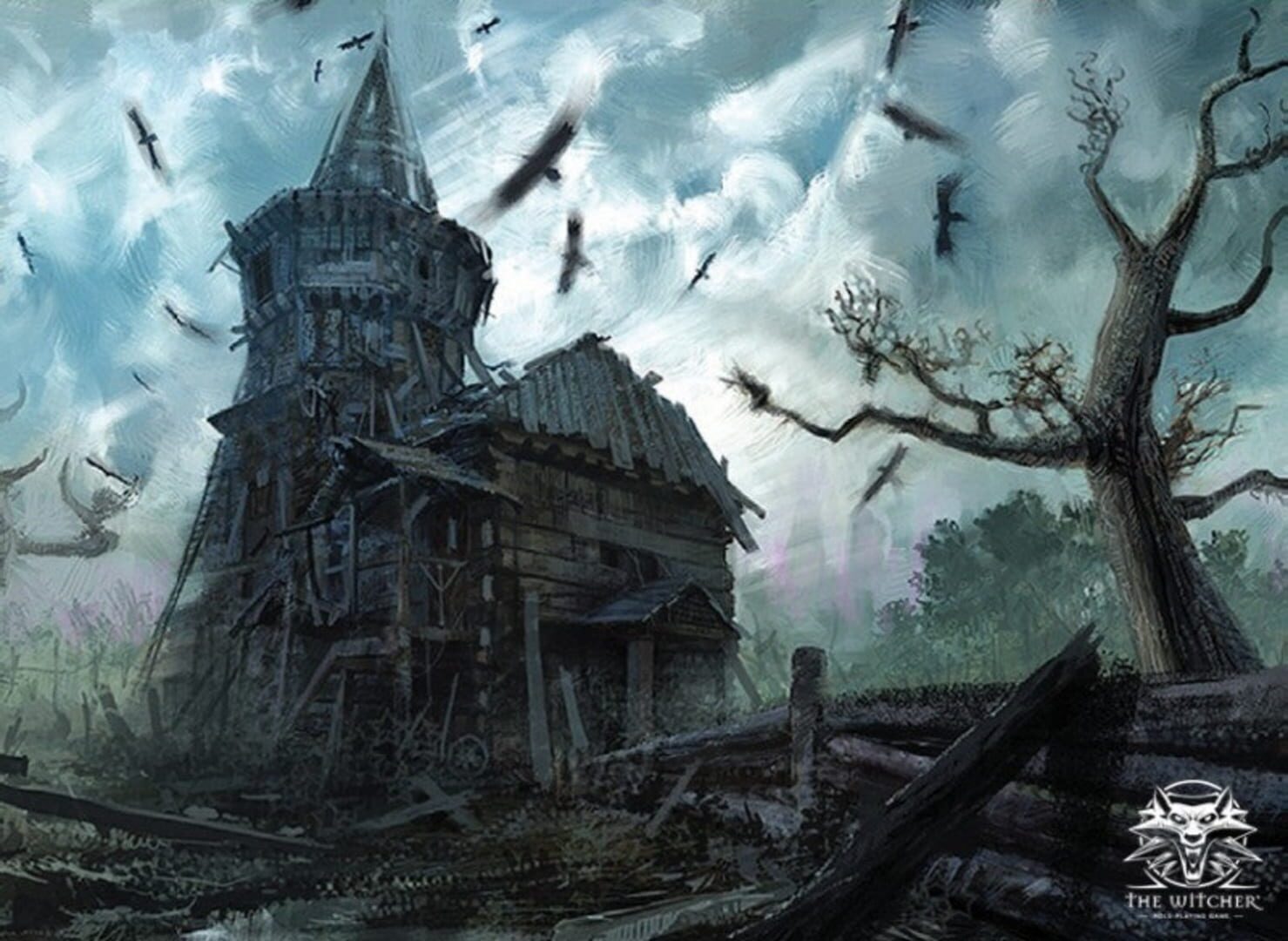 The Witcher artwork 14