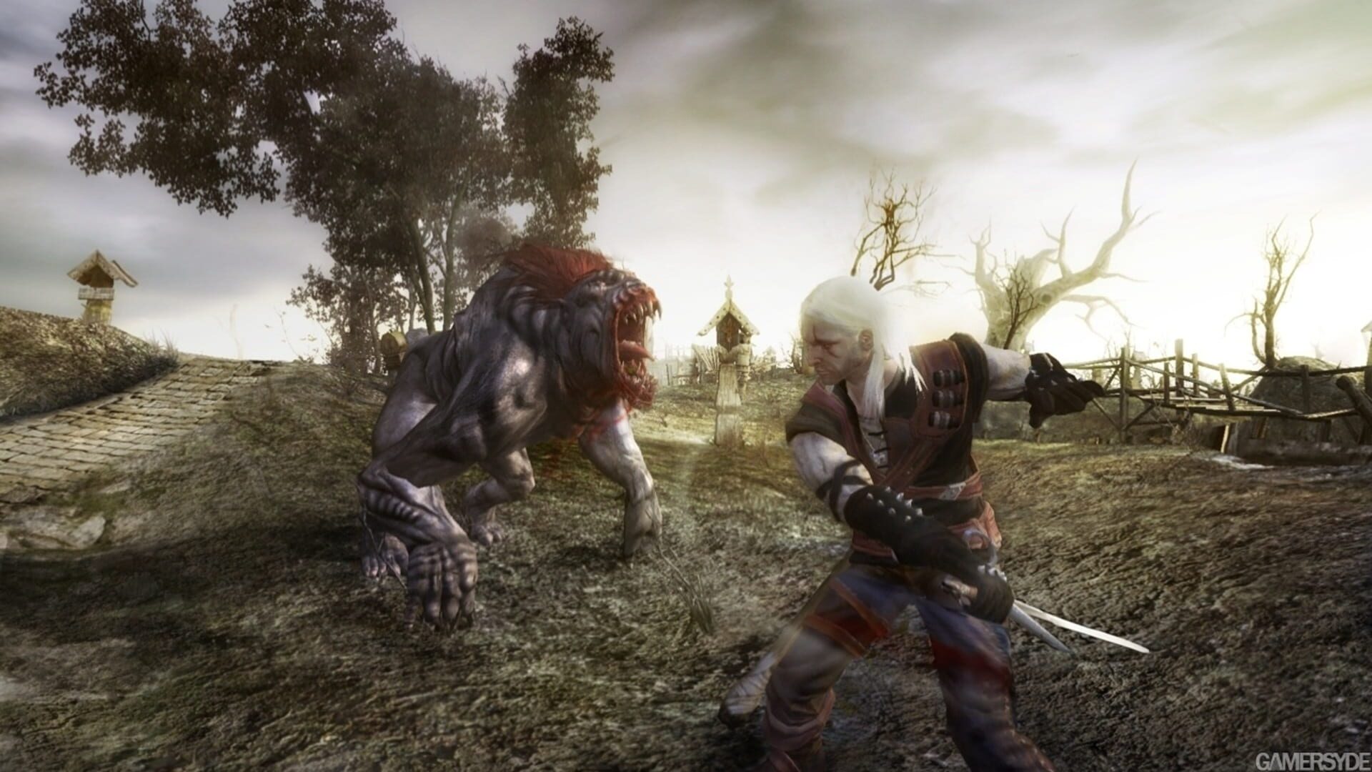 The Witcher screenshot 3