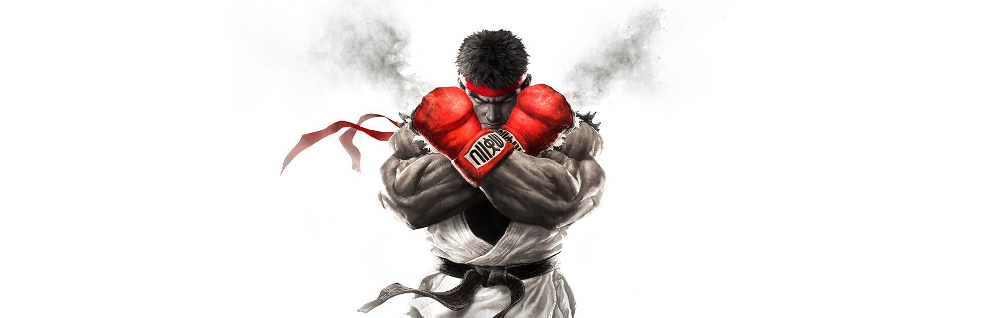 Street Fighter V artwork 6