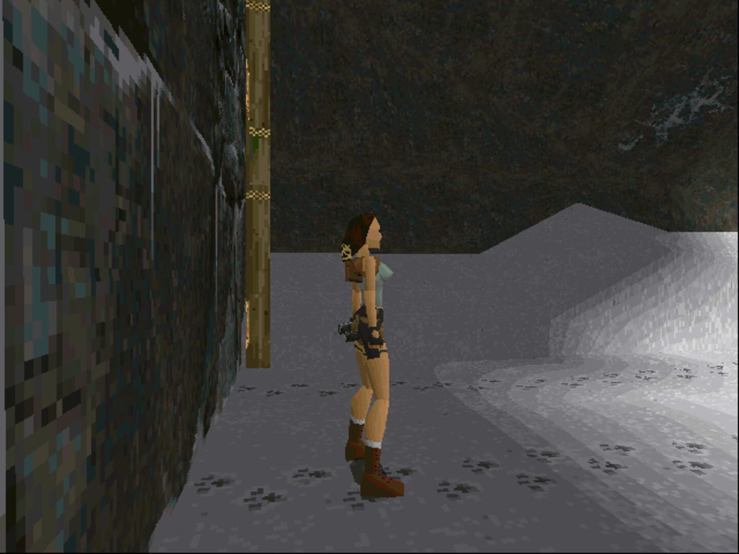 Tomb Raider screenshot 7