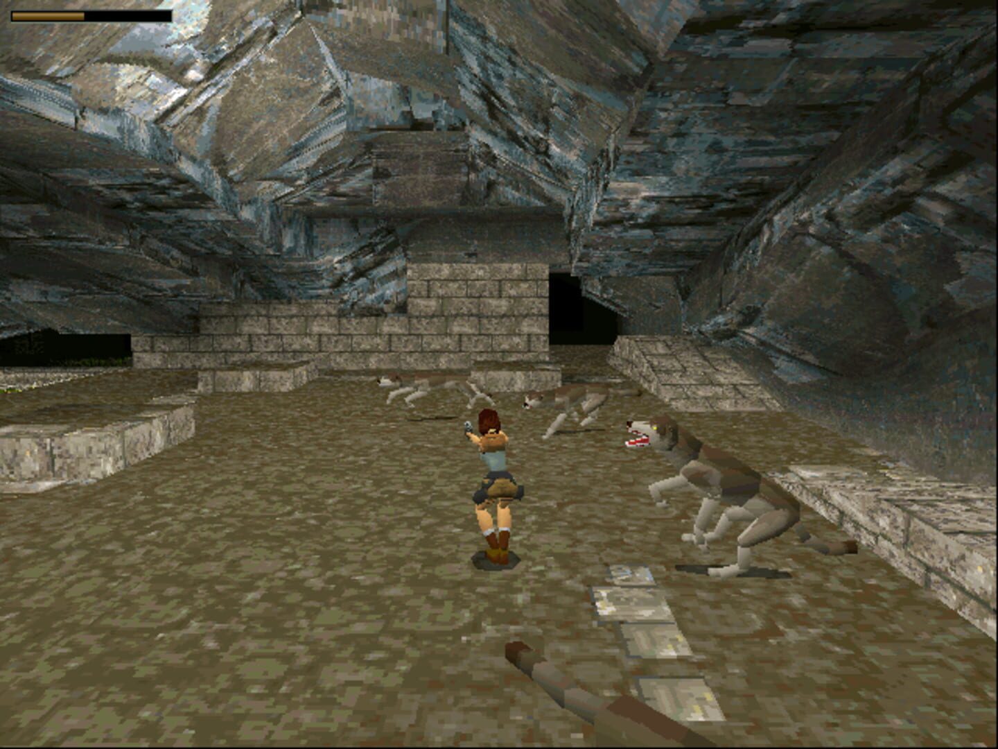 Tomb Raider screenshot 3