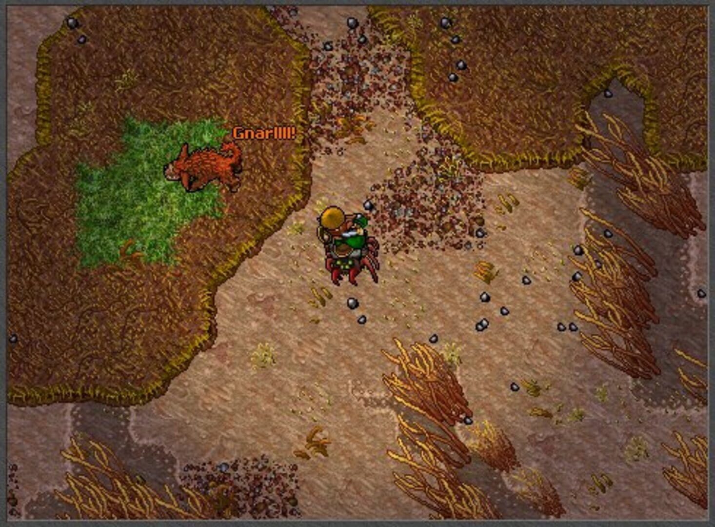 Tibia screenshot 8