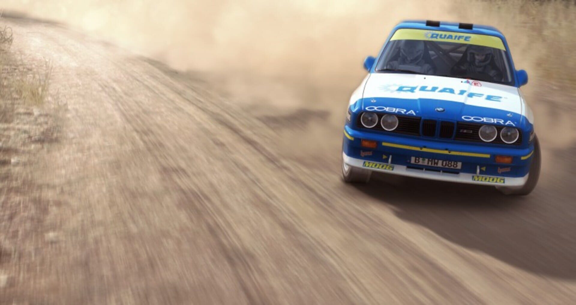 Dirt Rally screenshot 1